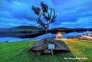 Thistle Sculpture -Blawn Wi The Wind by Kev Paxton, photo by Davie Murray @Canniejannie