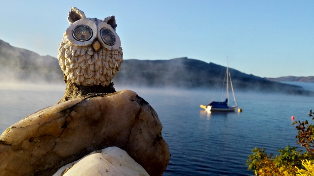 Solar owl on misty morning Loch Earn