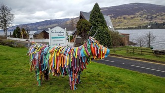 Bill The Bull at Lochearnhead Hotel