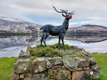 Stan the Stag installation with a red nose playing Rudolph in Briar Cottages garden on Loch Earnicture