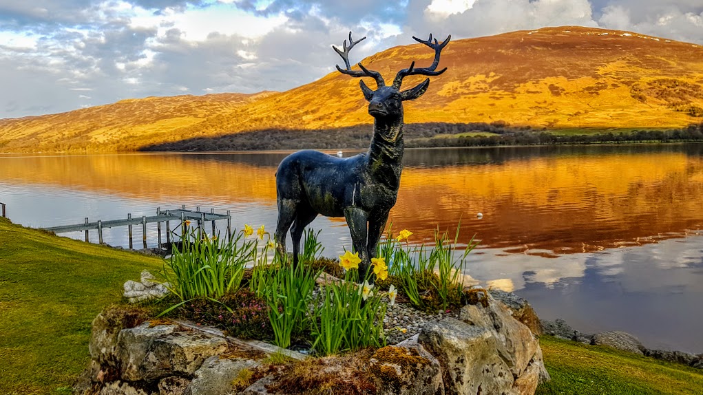 Moody dark sky, steel jetty and burnt orange Ben Our behind Stan the Stag statue on a stony heath with daffodils. In the loch garden of Briar Cottages facing Loch Earn