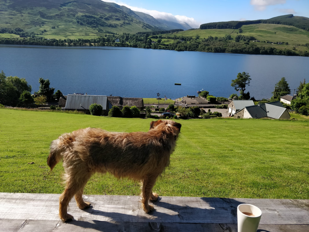 dog friendly self catering holidays