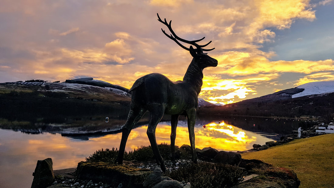 Stan stag in fiery sunset Loch Earn